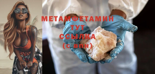 ПСИЛОЦИБИНОВЫЕ ГРИБЫ Осинники