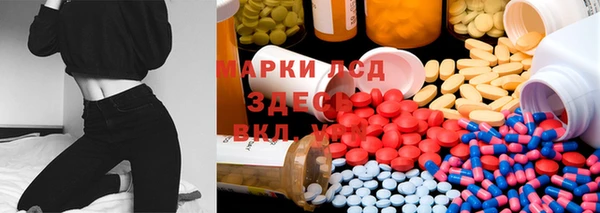 ПСИЛОЦИБИНОВЫЕ ГРИБЫ Осинники