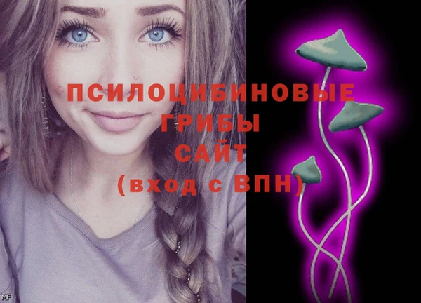 ПСИЛОЦИБИНОВЫЕ ГРИБЫ Осинники