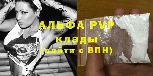 ПСИЛОЦИБИНОВЫЕ ГРИБЫ Осинники