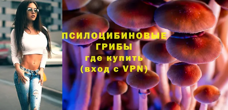 Галлюциногенные грибы Magic Shrooms Соликамск