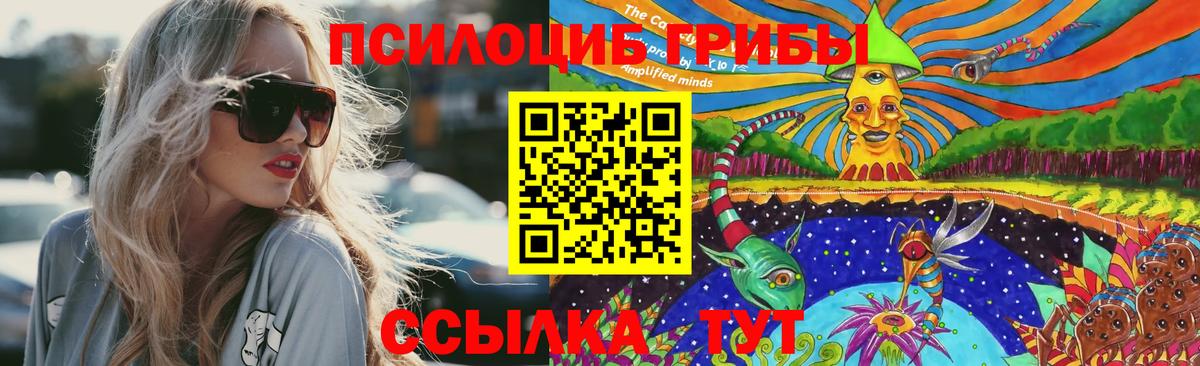 Галлюциногенные грибы Psilocybine cubensis Соликамск